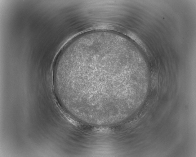 X0000074260886200609222148