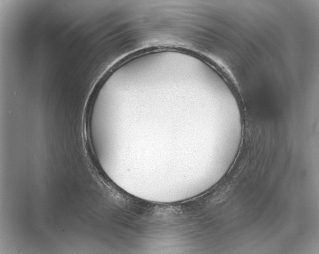 X0000074260887200609222148