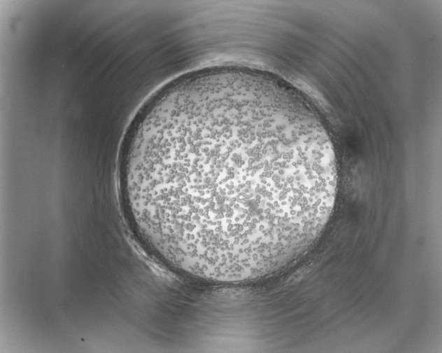 X0000074260888200609222148