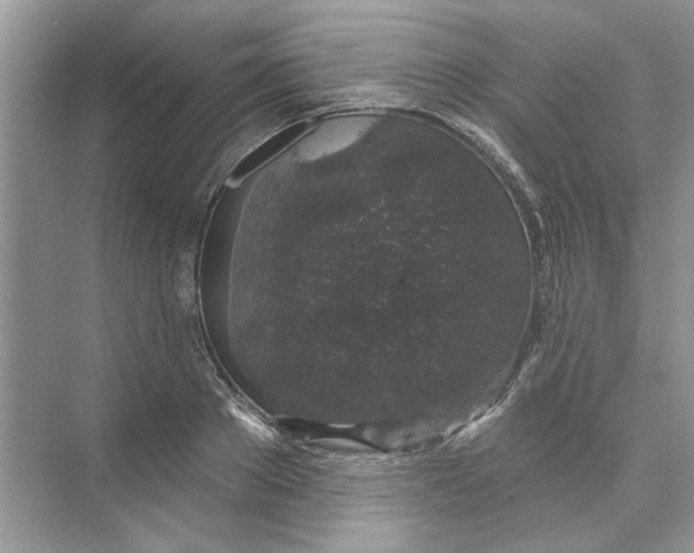 X0000074260889200609222148