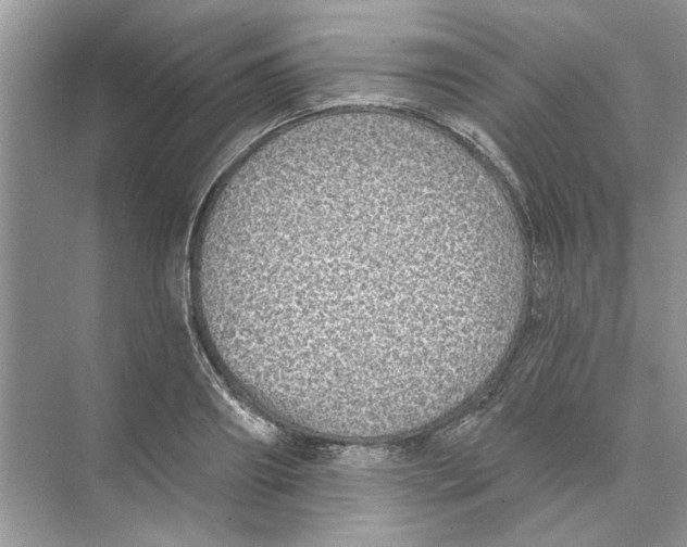 X0000074260890200609222148