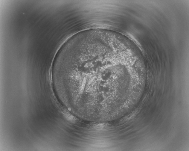 X0000074260891200609222148