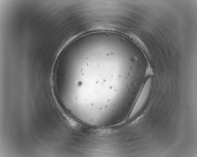 X0000074260893200609222148