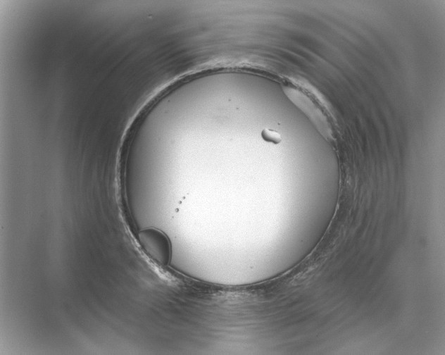 X0000074260894200609222148