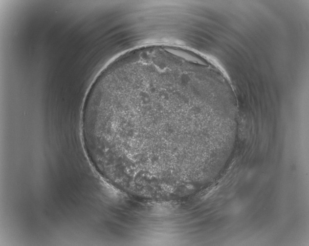 X0000074260895200609222148