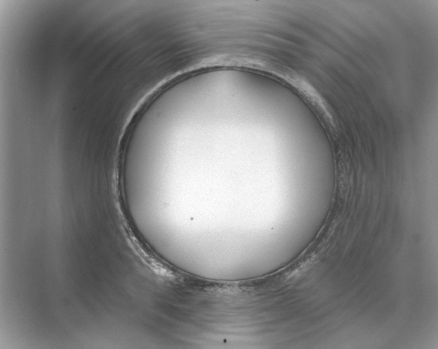 X0000074260896200609222148