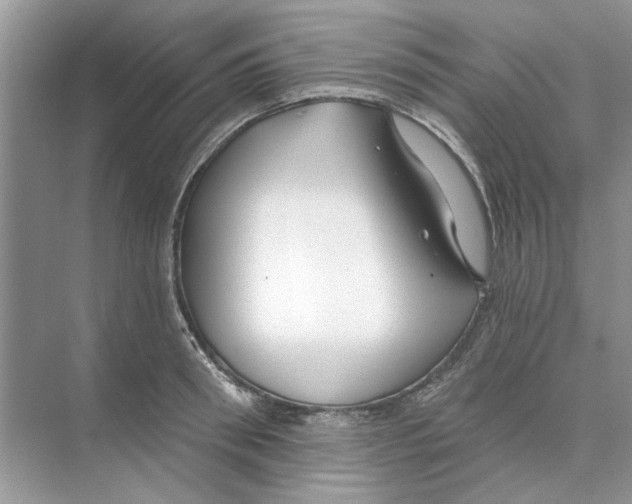 X0000074260898200609222148