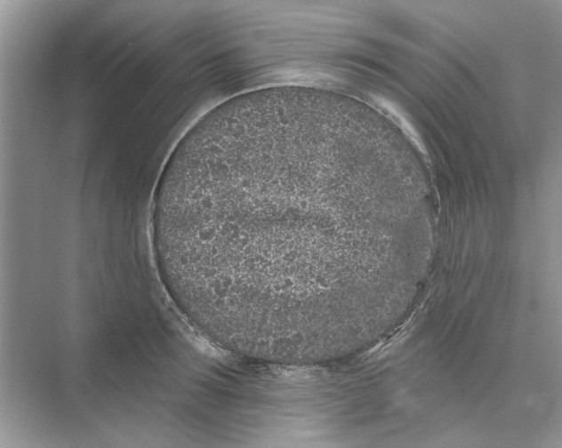 X0000074260899200609222148