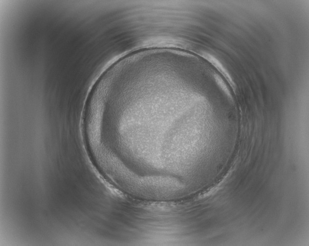 X0000074260901200609222148