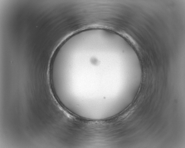 X0000074260902200609222148