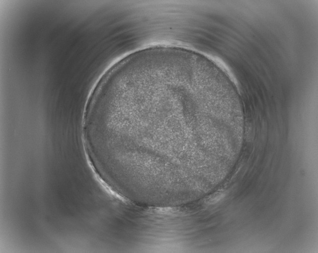 X0000074260903200609222148