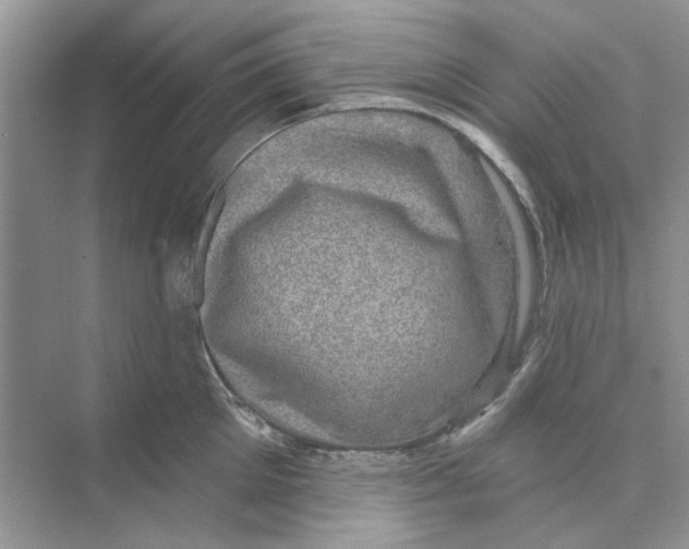 X0000074260905200609222148