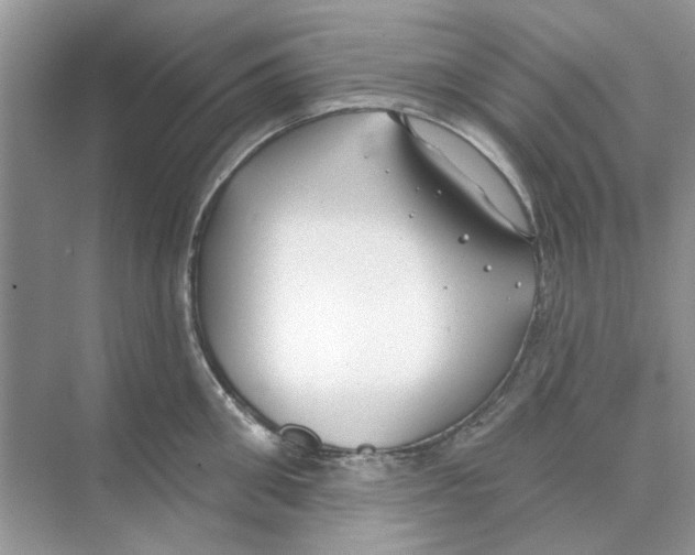 X0000074260906200609222148