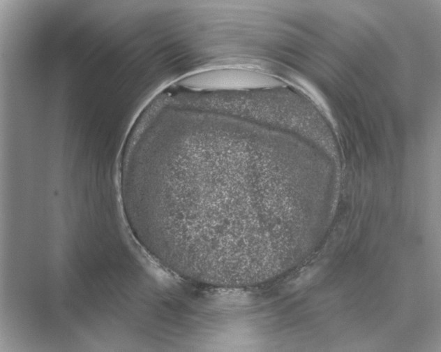 X0000074260907200609222148