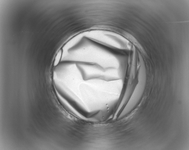 X0000074260908200609222148