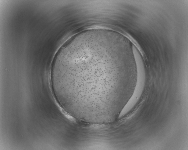 X0000074260909200609222148