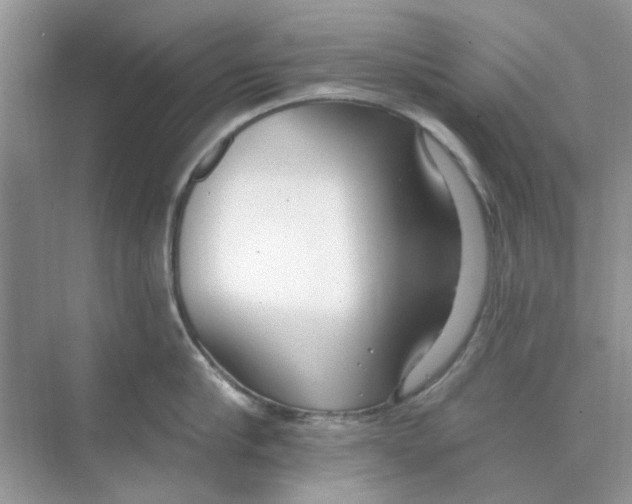 X0000074260910200609222148