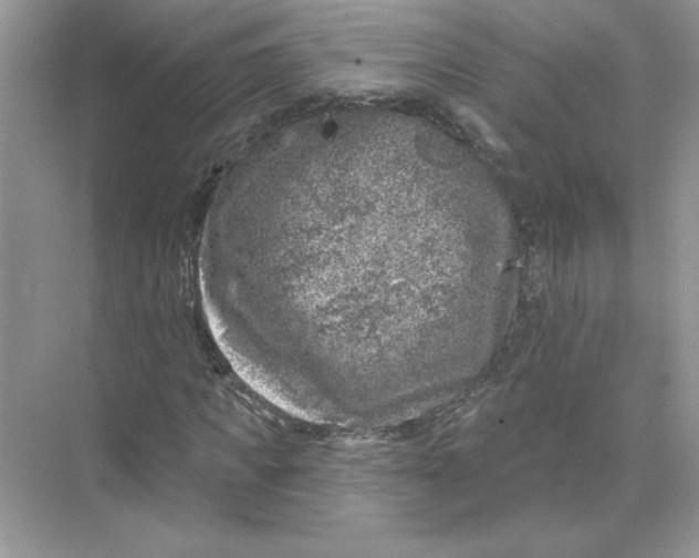 X0000074260917200609222147