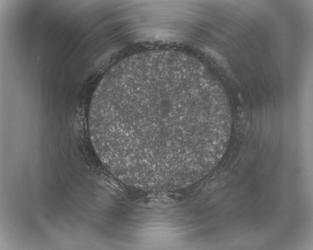 X0000074260918200609222147