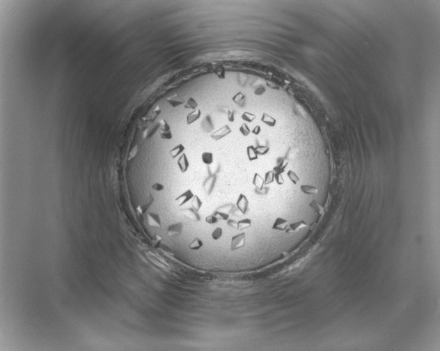 X0000074260921200609222147