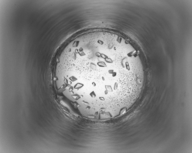 X0000074260925200609222147