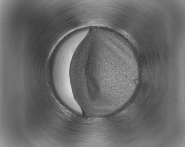 X0000074260926200609222147