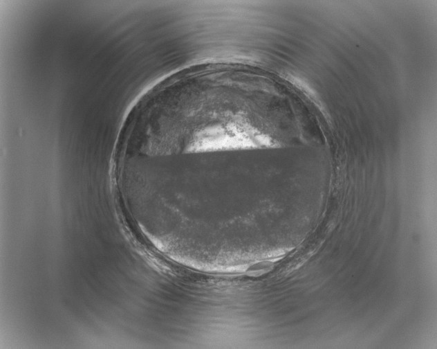 X0000074260928200609222147