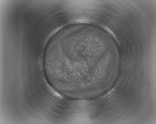 X0000074260930200609222147