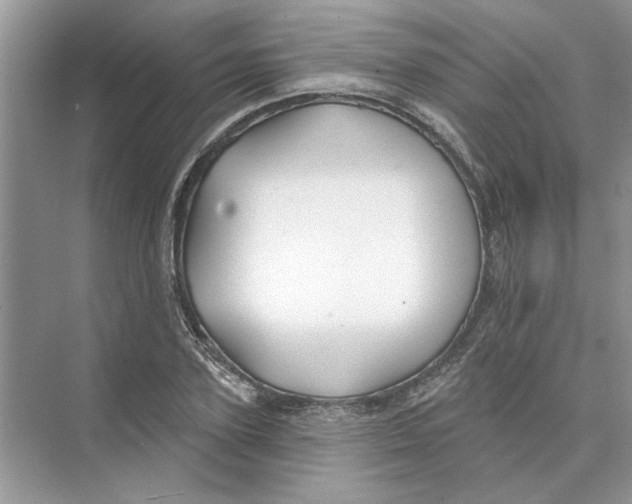 X0000074260931200609222147