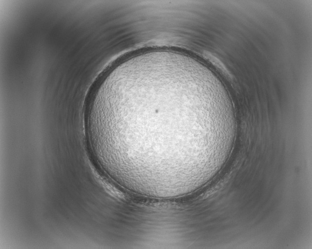 X0000074260934200609222147