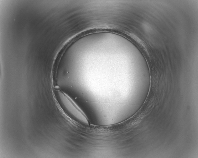 X0000074260935200609222147