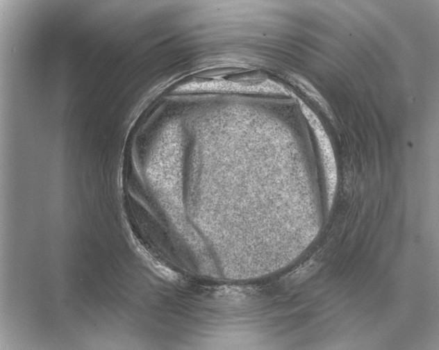 X0000074260938200609222147