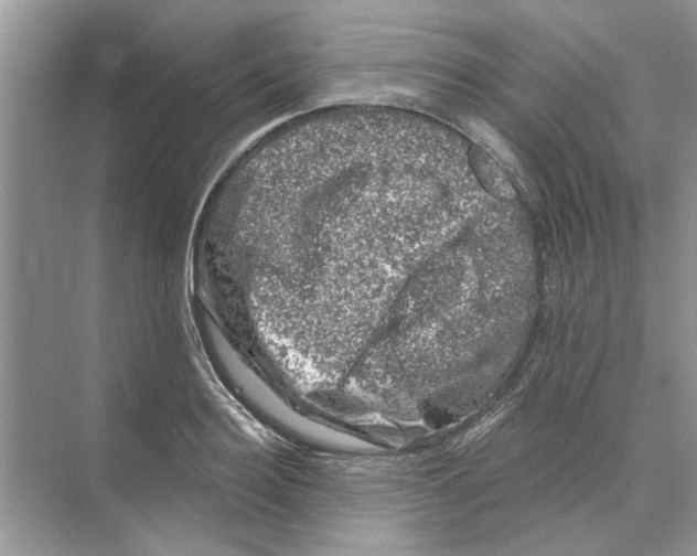 X0000074260940200609222147