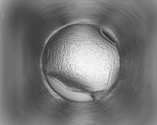 X0000074260944200609222147