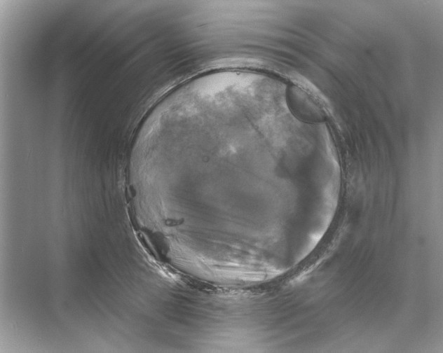 X0000074260945200609222147