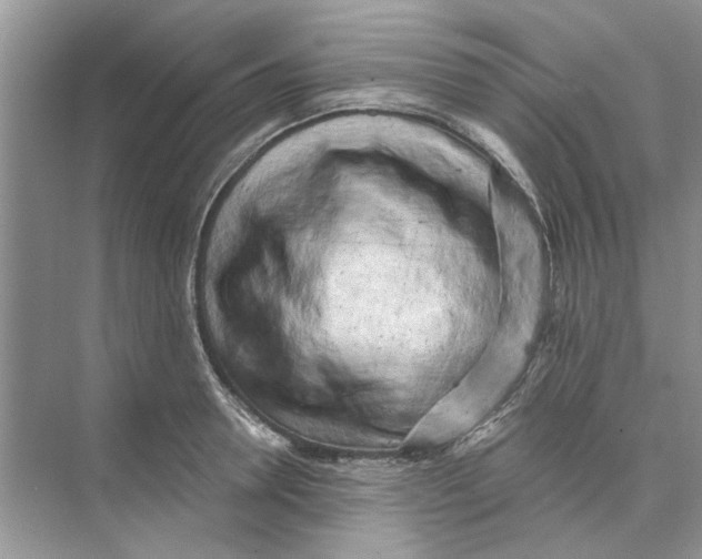 X0000074260946200609222147