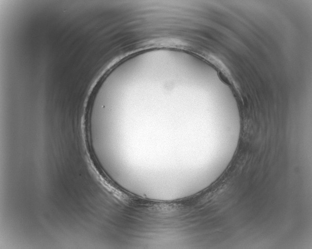 X0000074260947200609222147