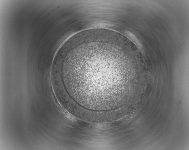 X0000074260948200609222147