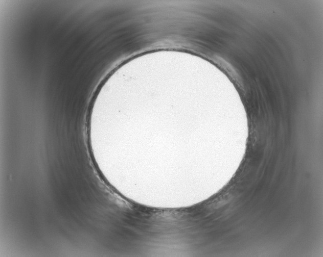 X0000074260950200609222147