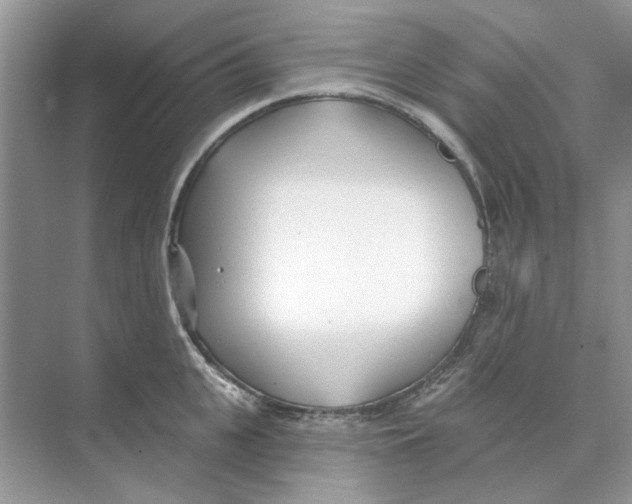 X0000074260951200609222147