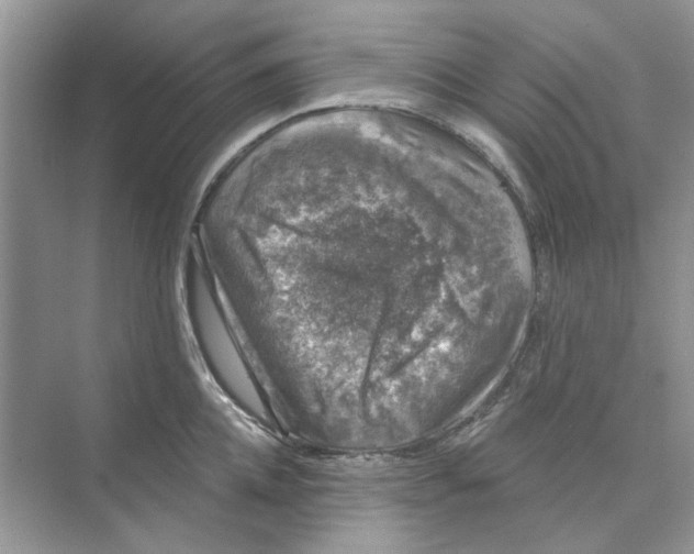 X0000074260952200609222147