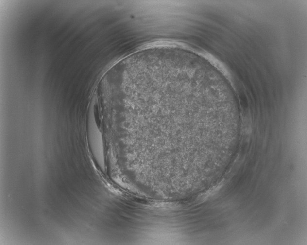 X0000074260953200609222147