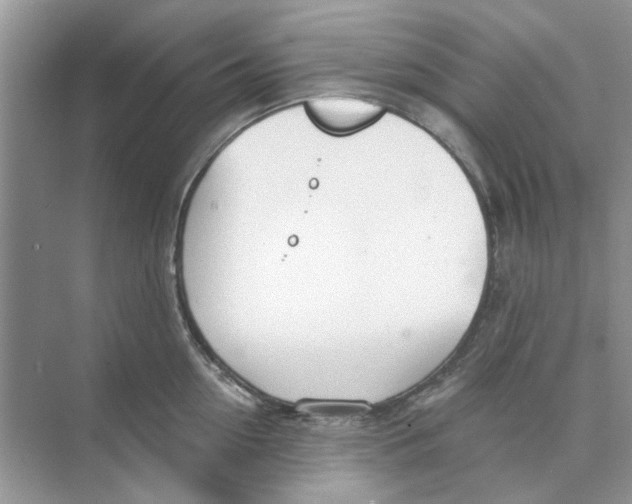 X0000074260954200609222147