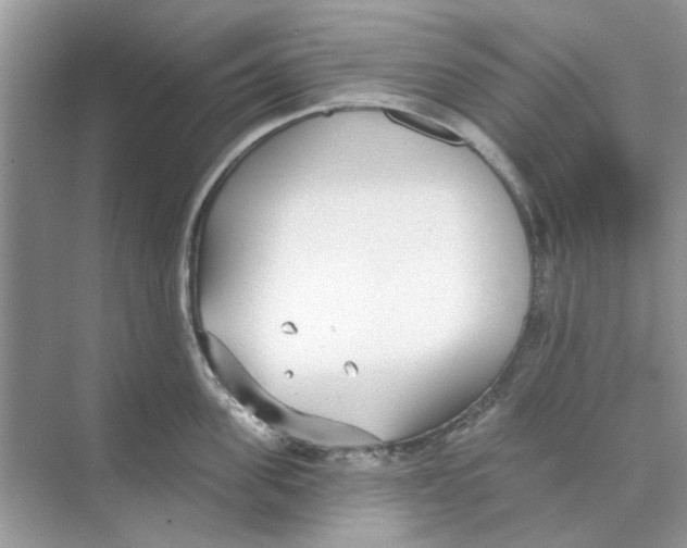 X0000074260955200609222147