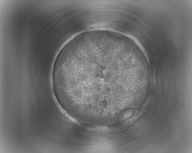 X0000074260957200609222147