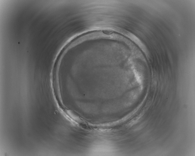 X0000074260958200609222147