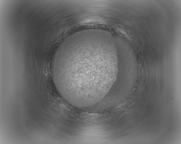 X0000074260965200609222147