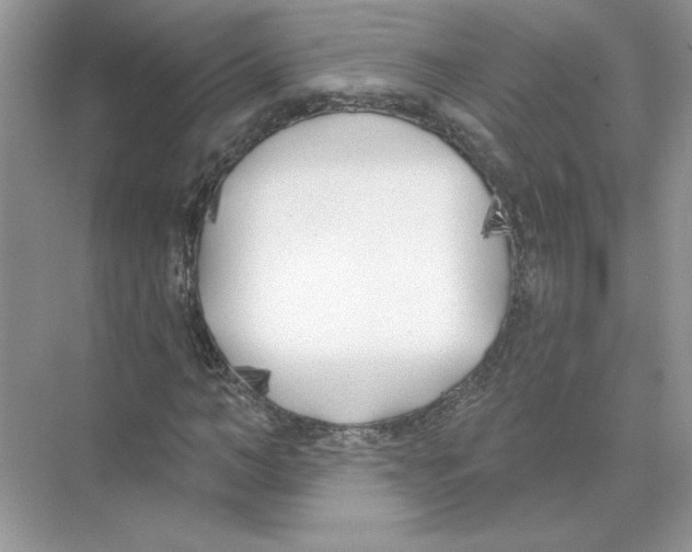 X0000074260966200609222147