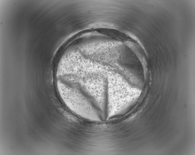 X0000074260973200609222146