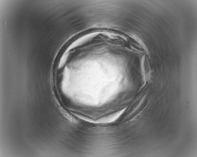 X0000074260976200609222146